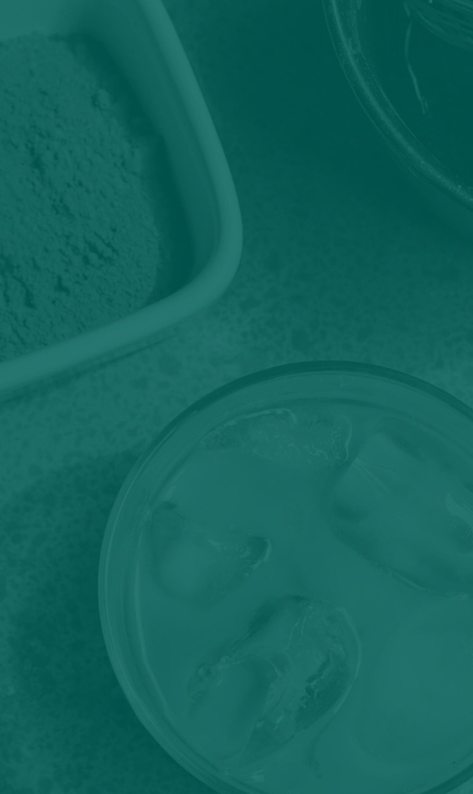 green nice background