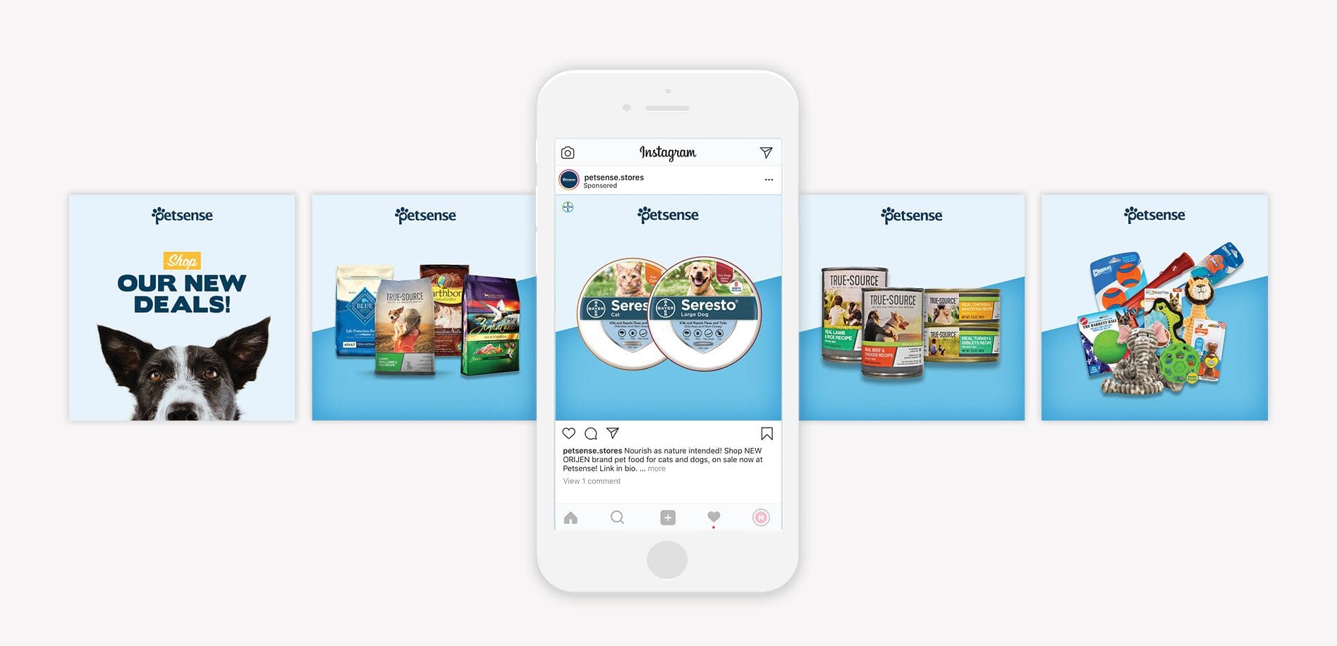 pet retail marketing graphic design