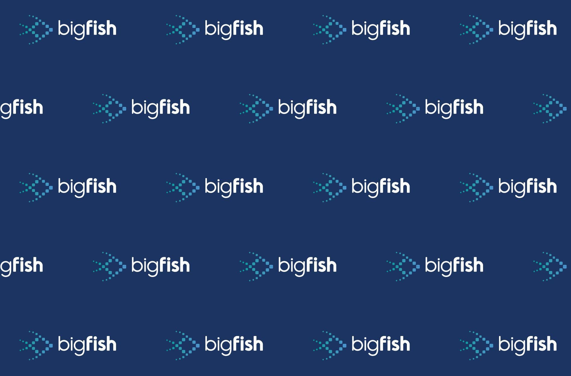 TECH COMPANY BRAND POSITIONING