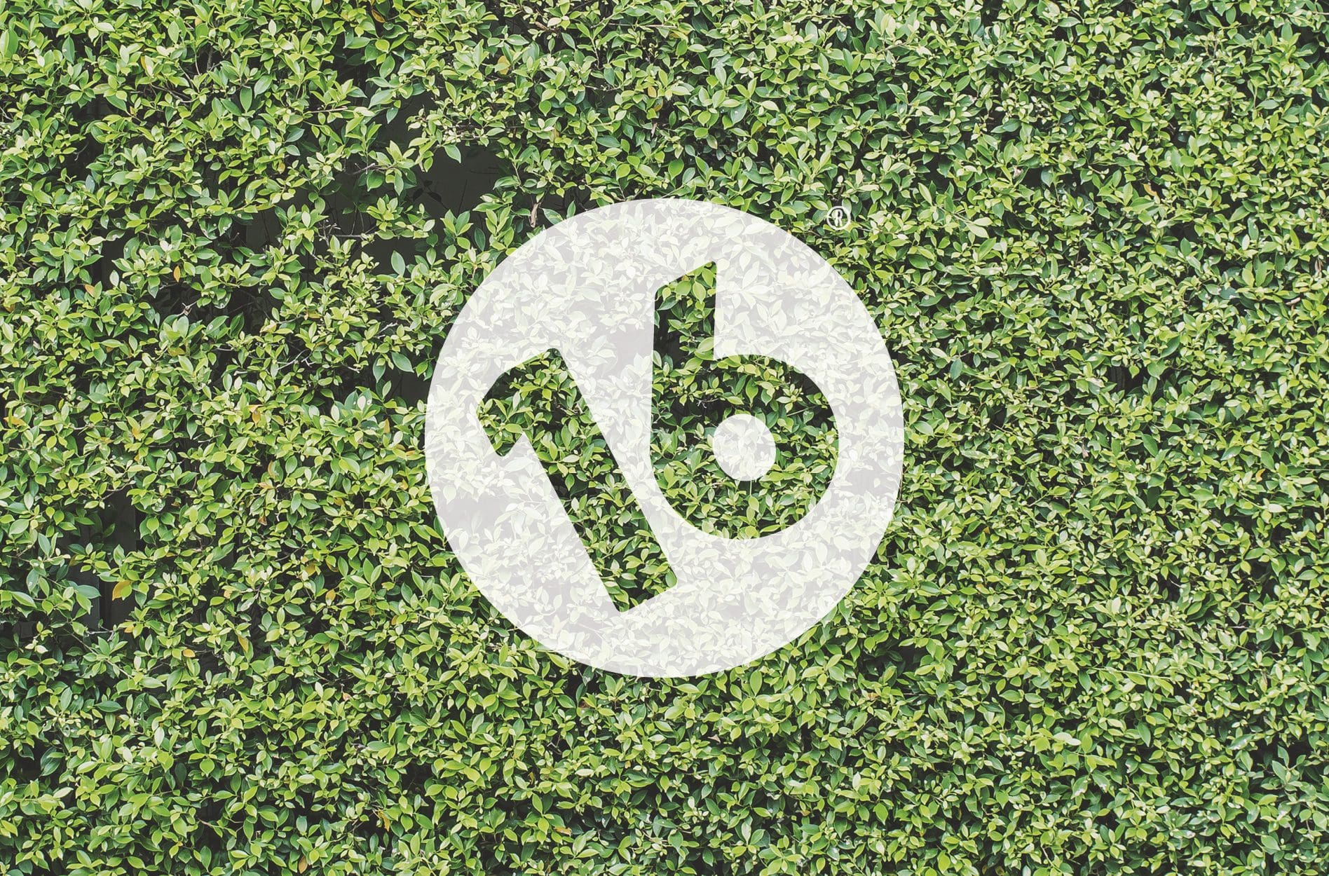 successful restaurant rebranding