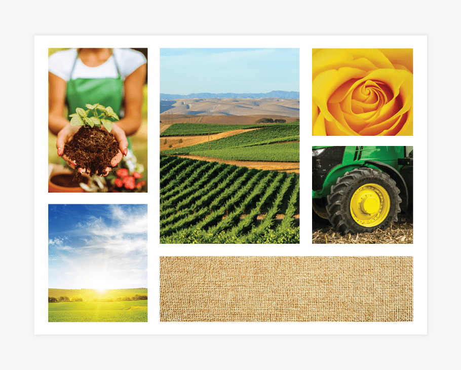 Rosewood Farms - Mood Board Nashville