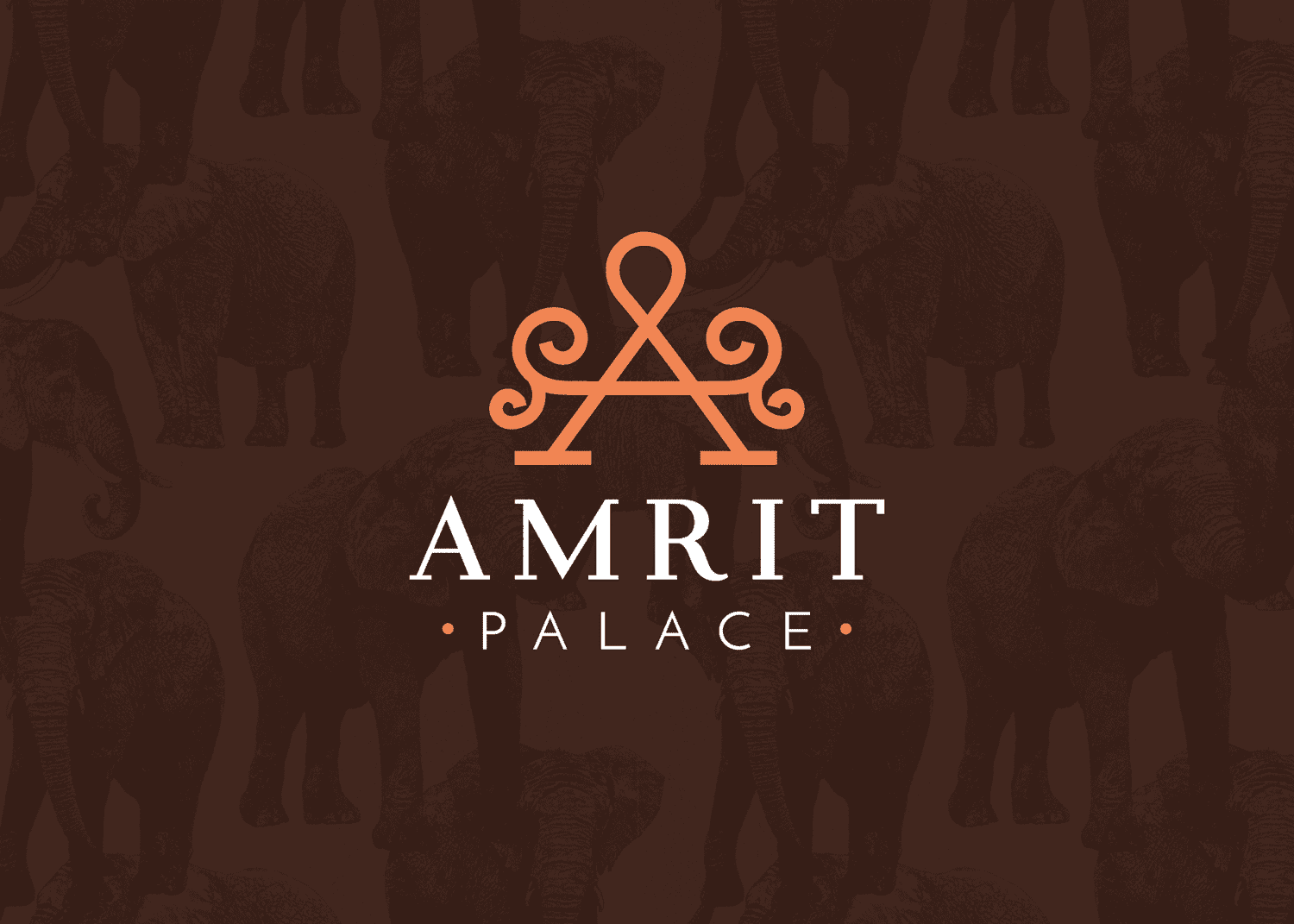 indian restaurant brand development