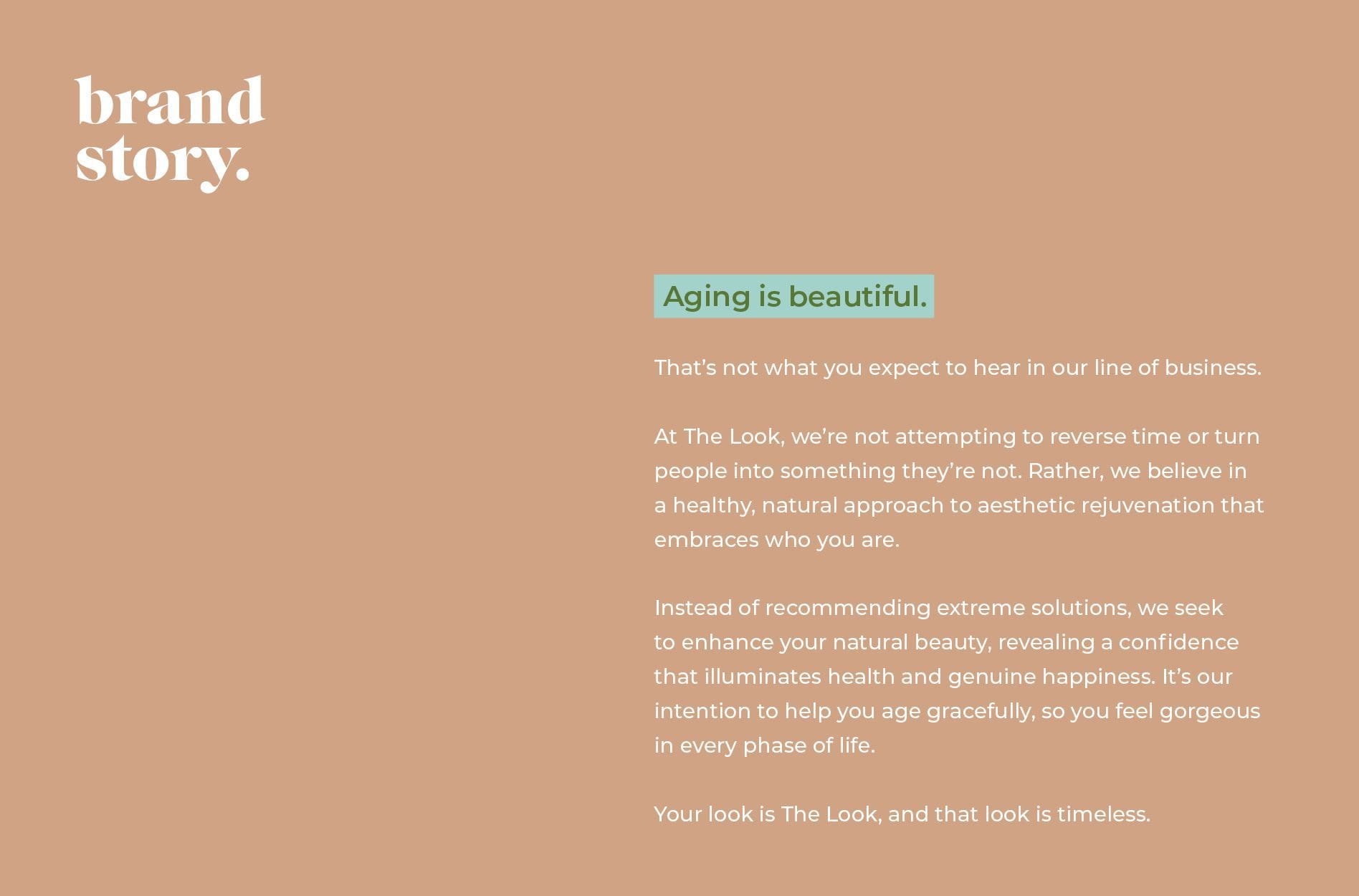 Branding Aesthetic and Creative Story Development